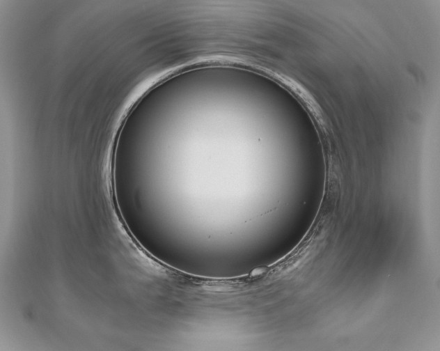 X0000110911199200906181336