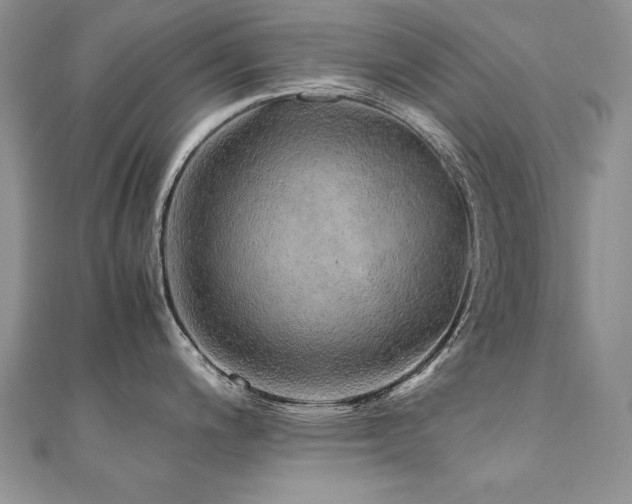 X0000110911200200906181336