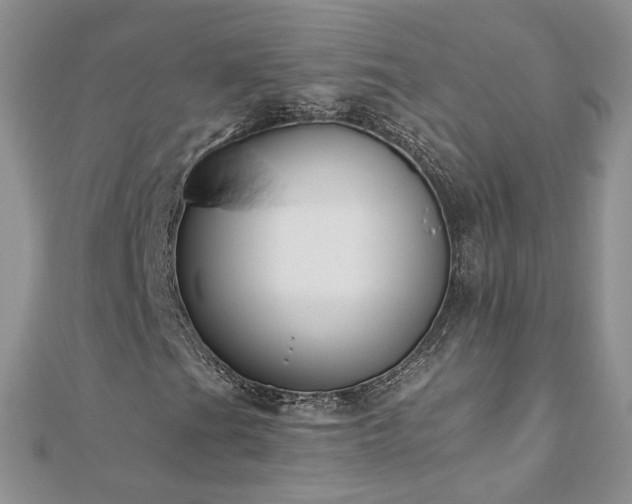 X0000110911201200906181336