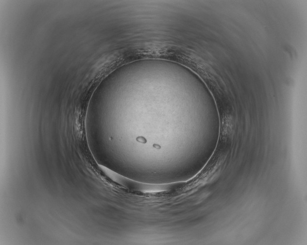 X0000110911202200906181336