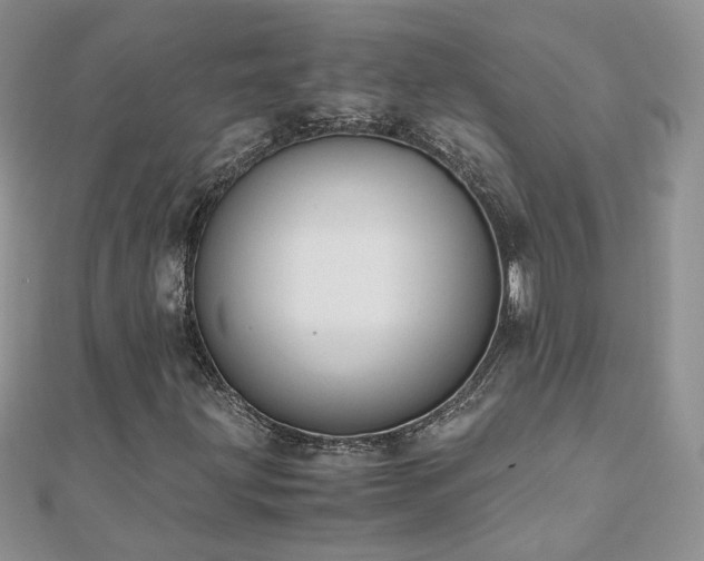 X0000110911203200906181336