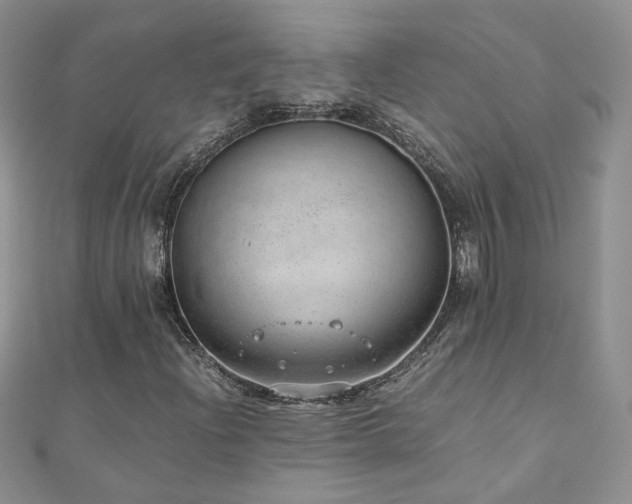 X0000110911204200906181336