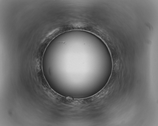 X0000110911205200906181336