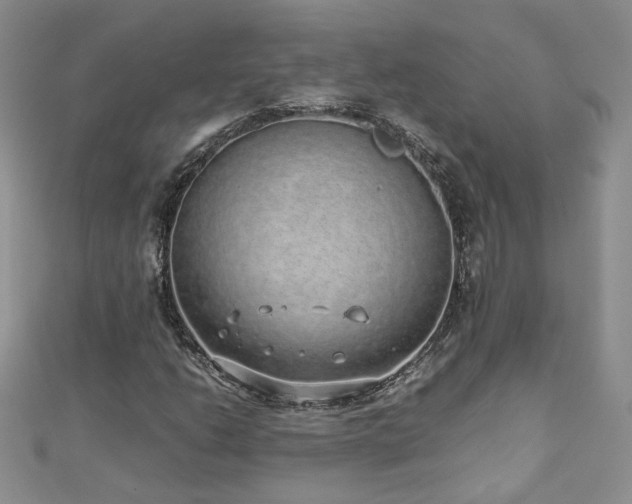 X0000110911206200906181336