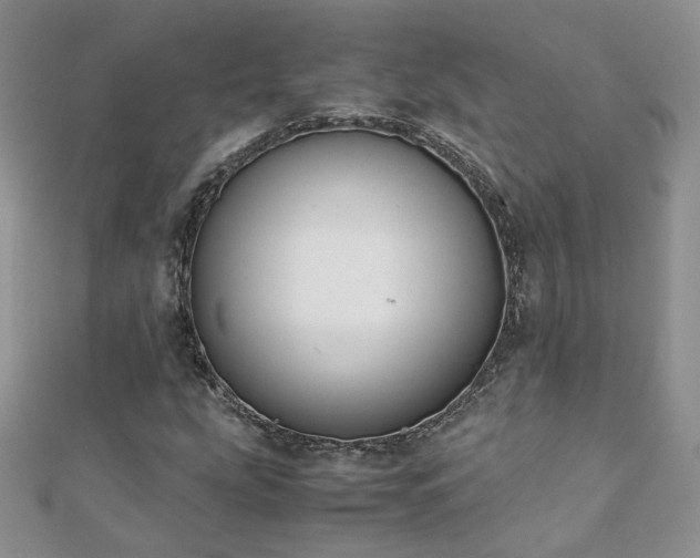 X0000110911207200906181336