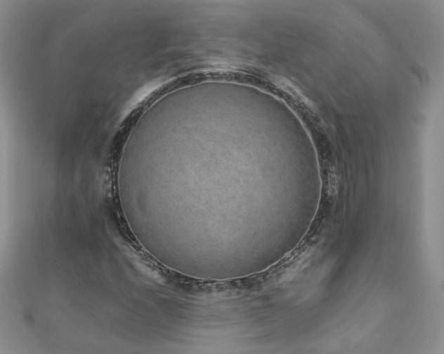 X0000110911208200906181336