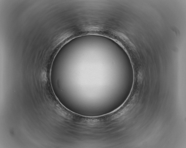 X0000110911209200906181336