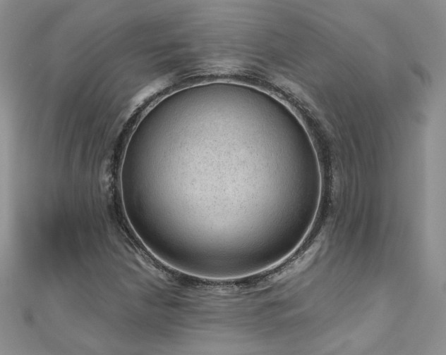 X0000110911210200906181336