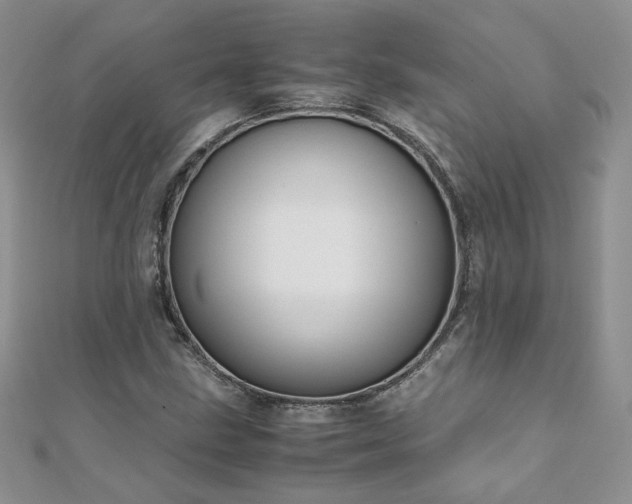 X0000110911211200906181336