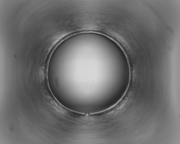 X0000110911212200906181336