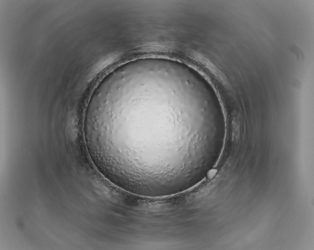 X0000110911213200906181336