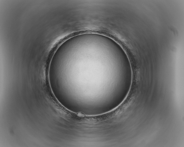 X0000110911214200906181336