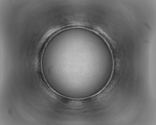 X0000110911215200906181336