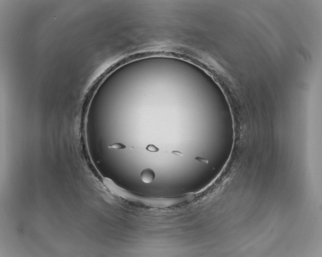 X0000110911216200906181336