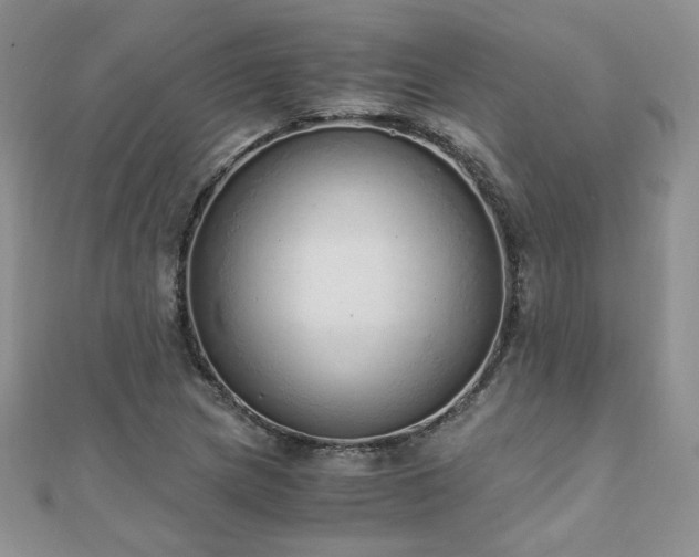 X0000110911217200906181336