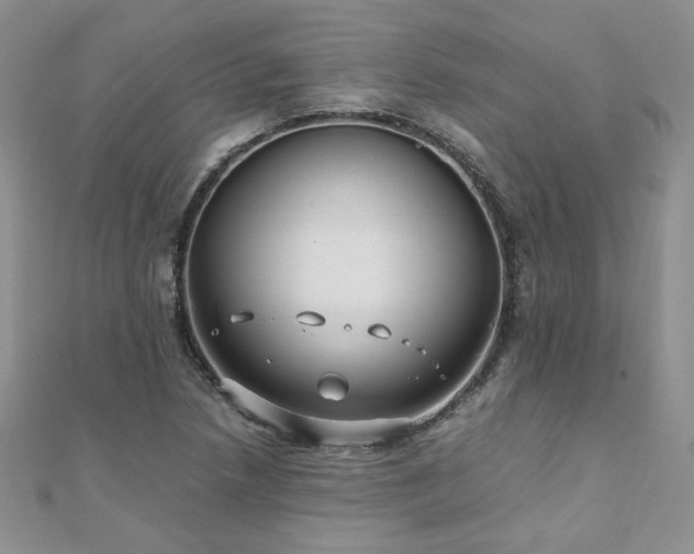 X0000110911218200906181336