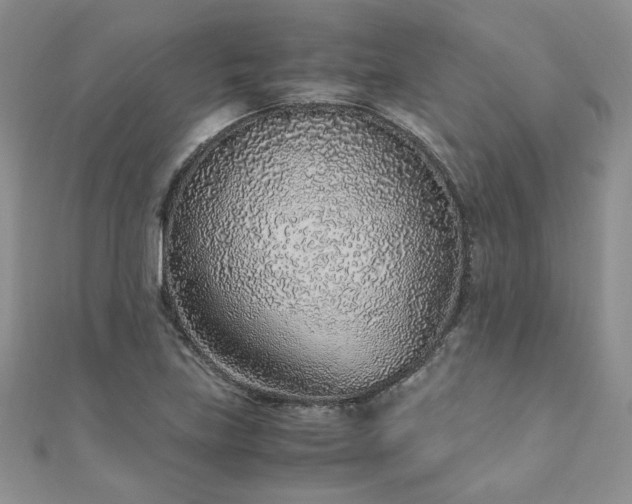 X0000110911219200906181336