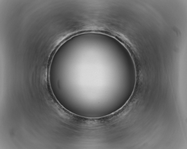 X0000110911220200906181336