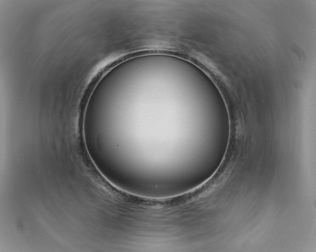 X0000110911222200906181336