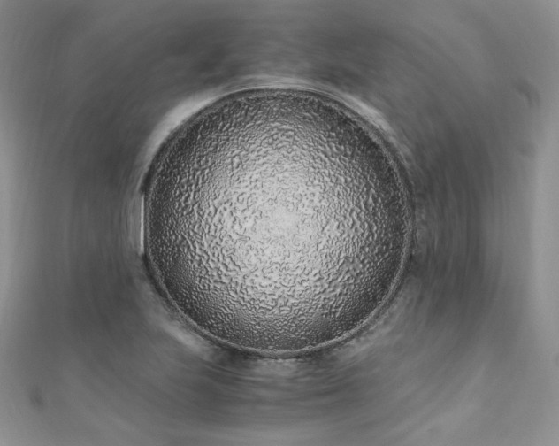 X0000110911223200906181336