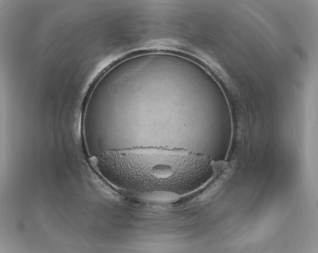 X0000110911224200906181336