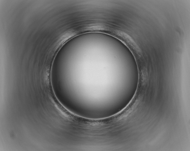 X0000110911225200906181336