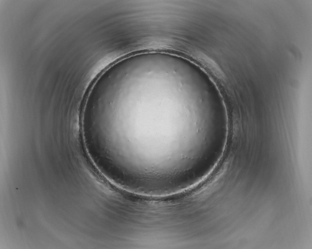 X0000110911226200906181336