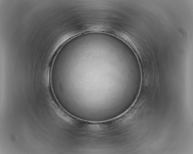 X0000110911227200906181336