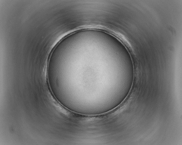 X0000110911228200906181336