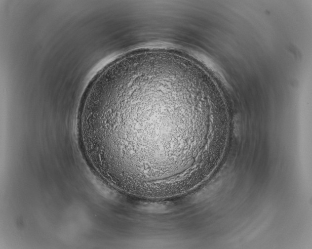 X0000110911229200906181336