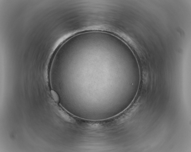 X0000110911230200906181336