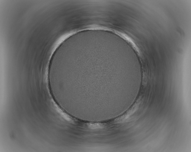 X0000110911231200906181336