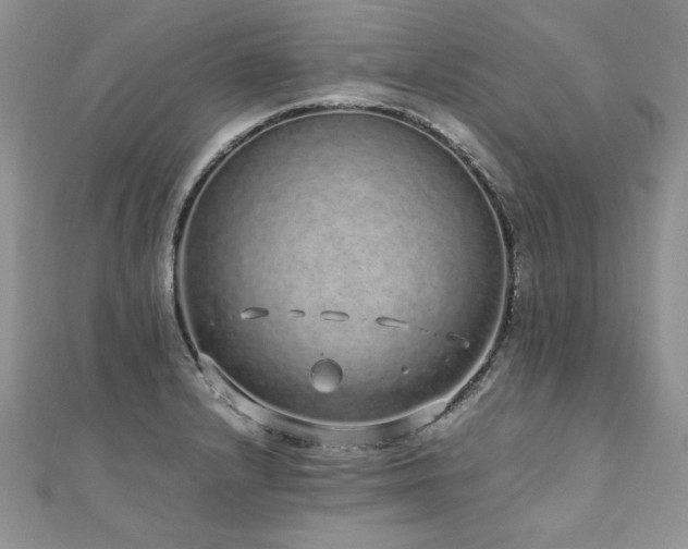 X0000110911232200906181336