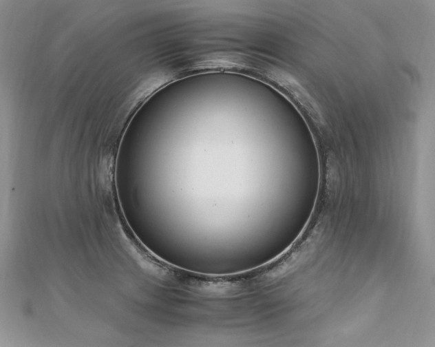 X0000110911233200906181336