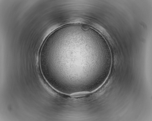 X0000110911234200906181336