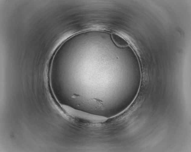 X0000110911235200906181336