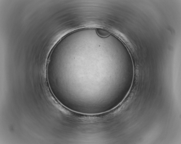 X0000110911236200906181336