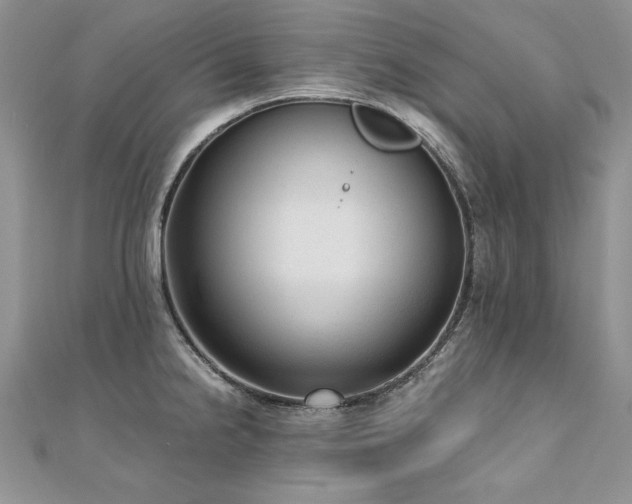 X0000110911238200906181336