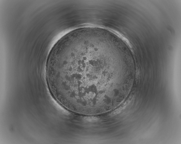 X0000110911239200906181336