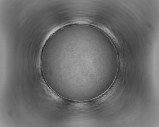 X0000110911240200906181336