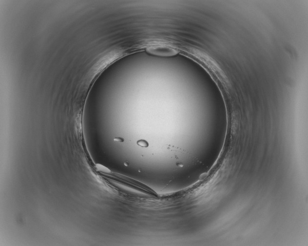 X0000110911241200906181336