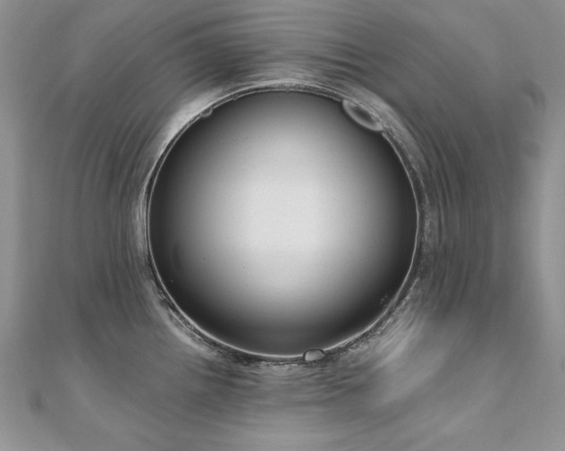 X0000110911242200906181336