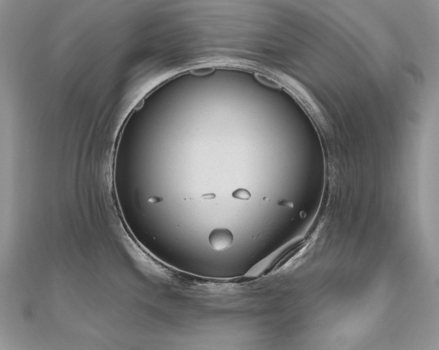 X0000110911244200906181336