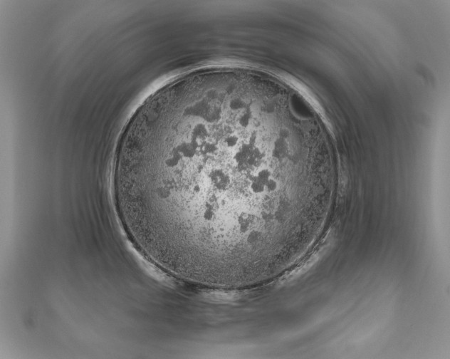 X0000110911245200906181336