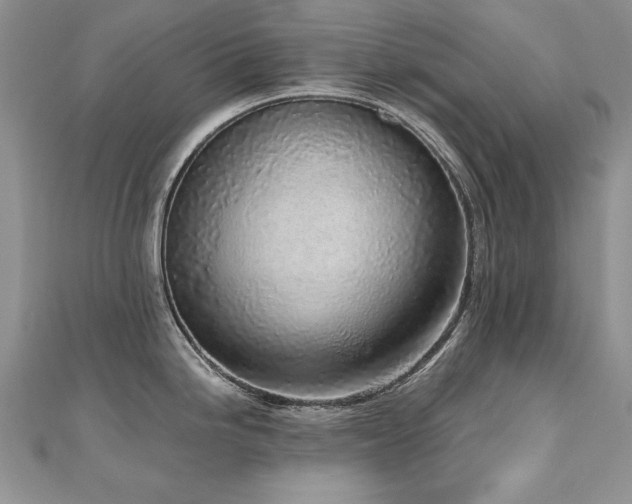 X0000110911246200906181336