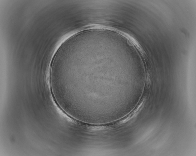 X0000110911247200906181336