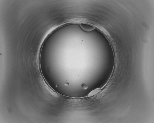 X0000110911248200906181336