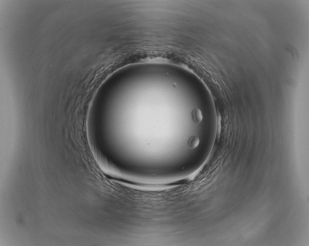 X0000110911249200906181336