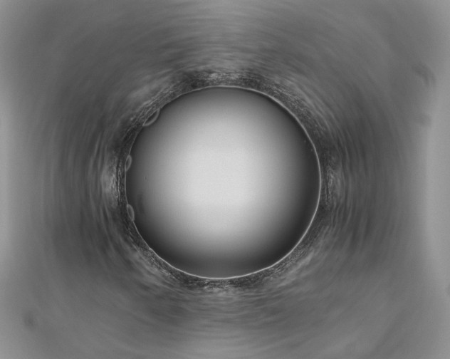 X0000110911250200906181336