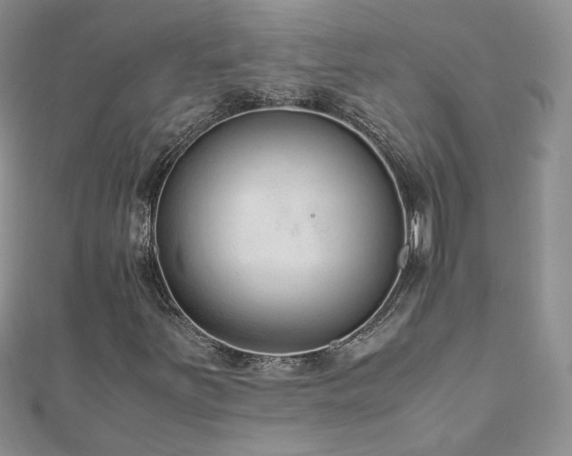 X0000110911251200906181336